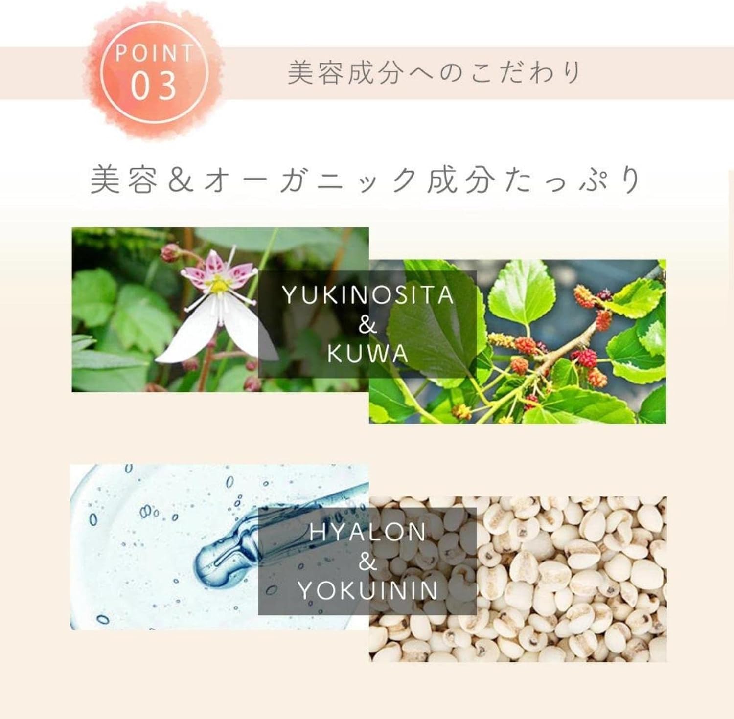 ボディスクラブ 画像5